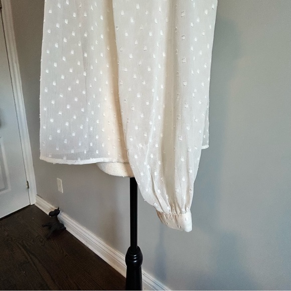 Romantic ZARA Women's  Sheer Ruffle Swiss Dot Top XS - Picture 6 of 10